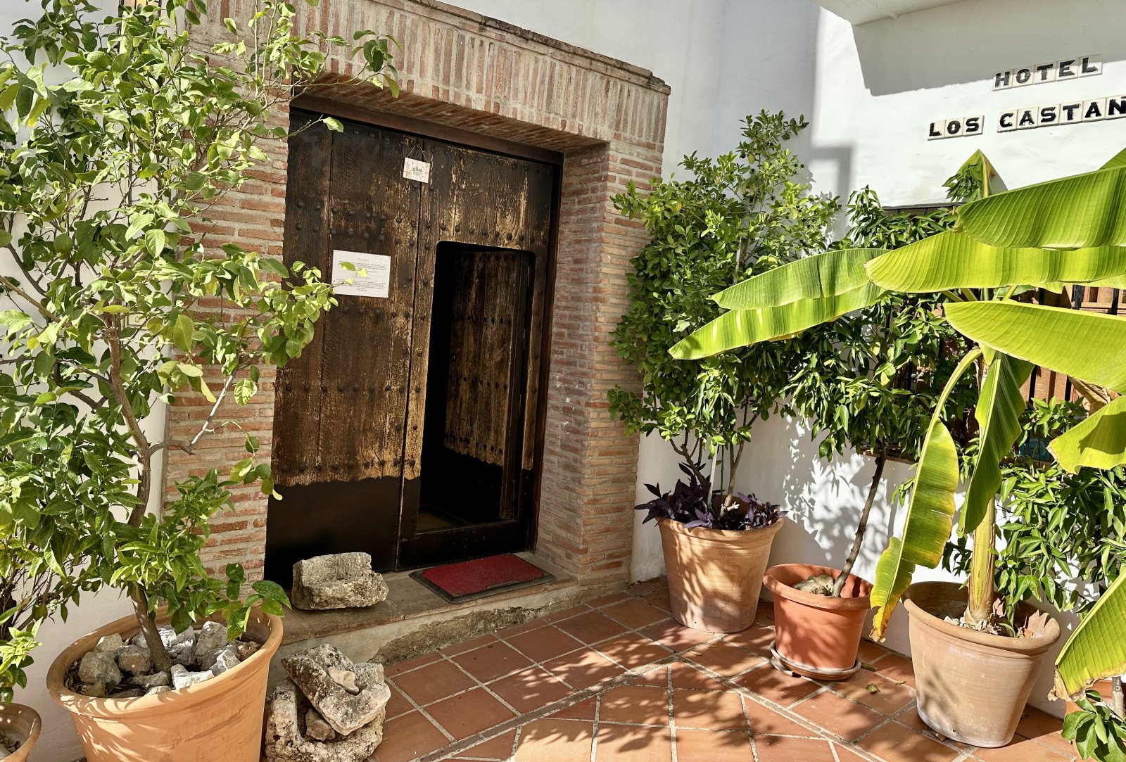 Entrance of Hotel Los Castaños surrounded by banana plants and lemon trees with our unique old wooden door